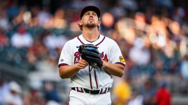 除基本的挥 除基本的挥