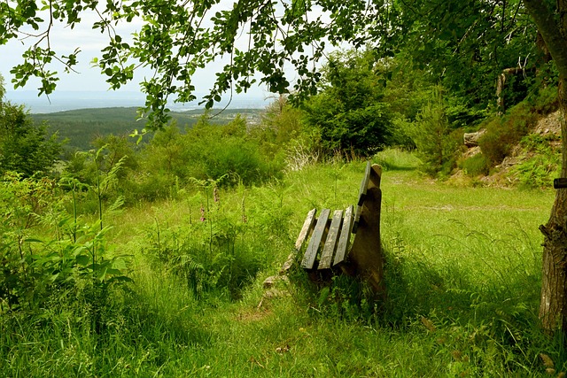 状态直接决 状态直接决