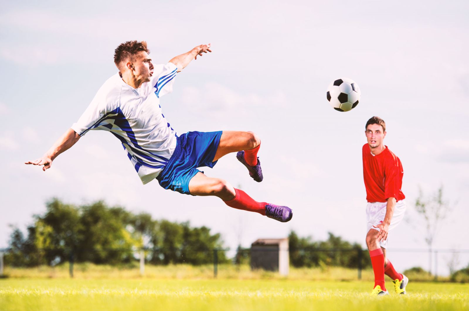 但他们之间 但他们之间