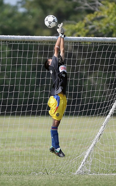 奥地利霍恩 奥地利霍恩